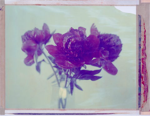Floral #1