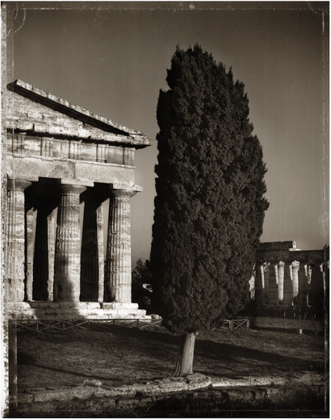 Temple to Neptune & Cyrus